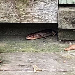 Meet your Posher, Ashlyn